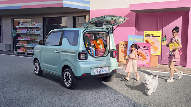 Geely Panda Mini Vitality Bear