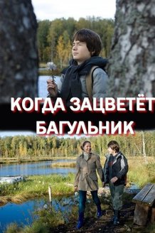 Когда зацветет багульник: постер