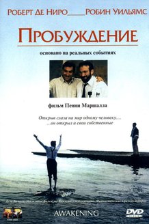 Пробуждение: постер