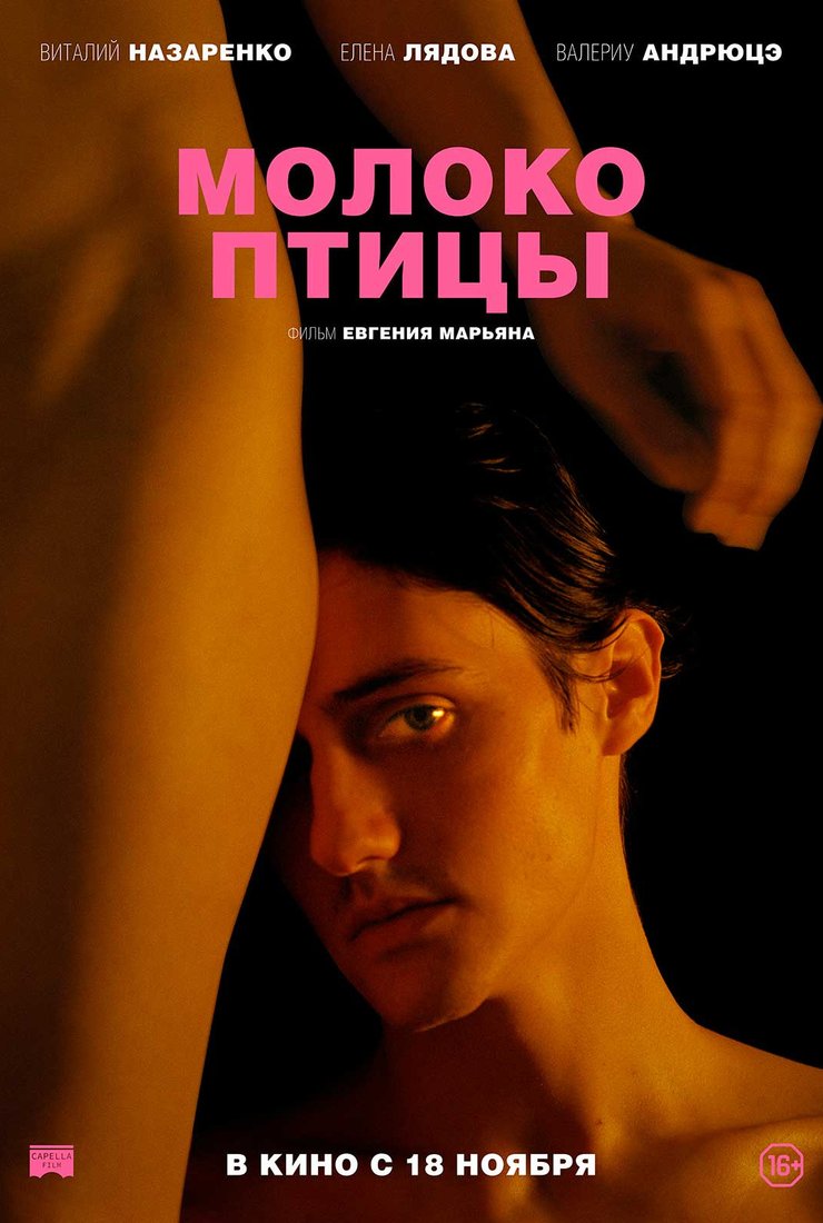 Молоко птицы: постер