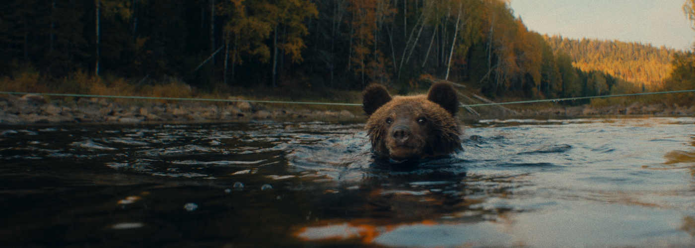 Пальма 2